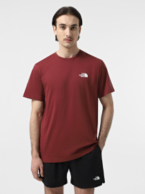Футболка The North Face Simple Dome модель NF0A87NG0VO1 Фото