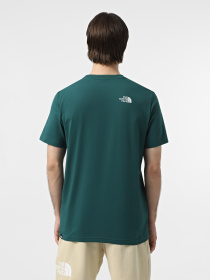 Футболка The North Face Simple Dome модель NF0A87NG6GI1 Фото