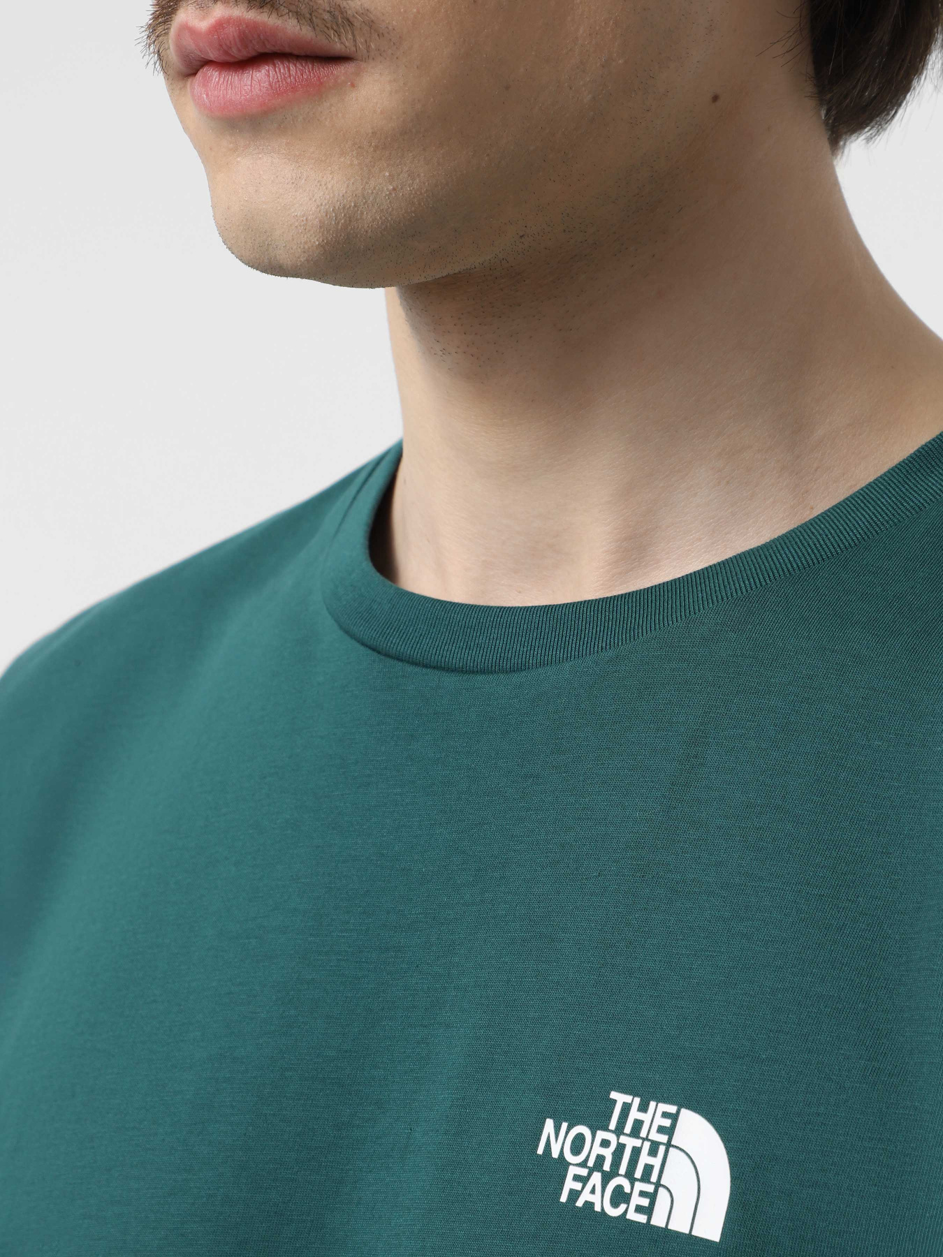 Футболка The North Face Simple Dome модель NF0A87NG6GI1 Фото