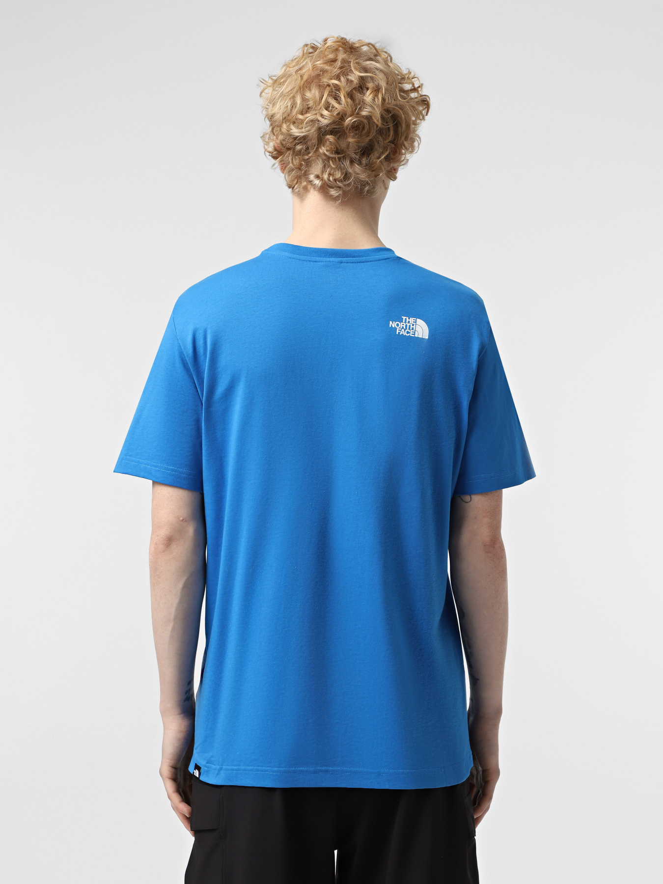 Футболка The North Face Simple Dome модель NF0A87NGT4S1 Футболка The North Face Simple Dome модель NF0A87NGT4S1 Фото