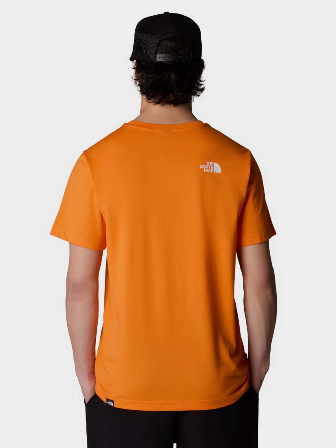 Футболка The North Face Simple Dome модель NF0A87NG6HI1 Фото