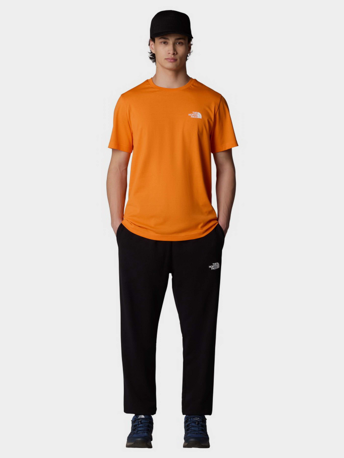 Футболка The North Face Simple Dome модель NF0A87NG6HI1 Фото