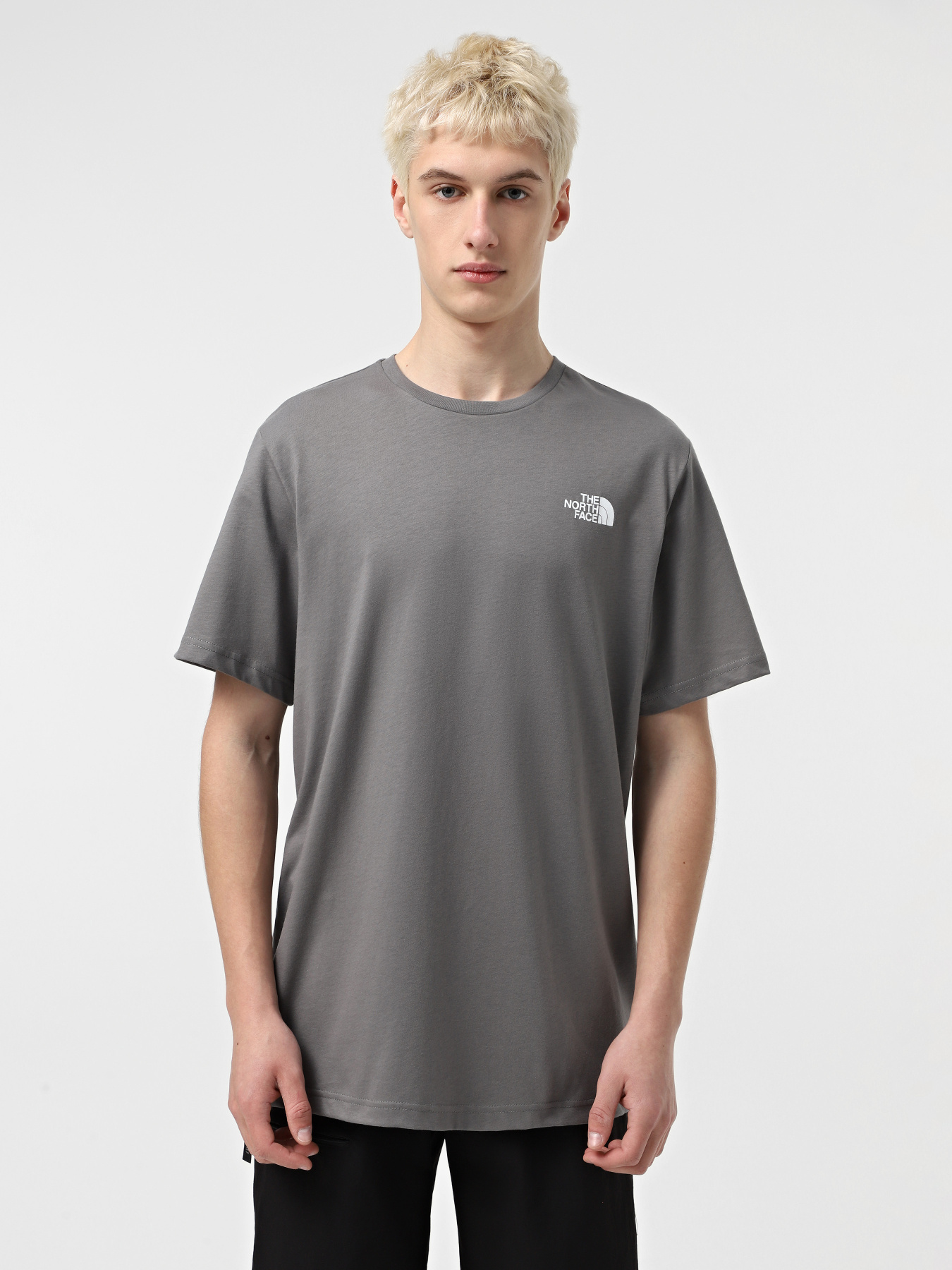 Футболка The North Face Red Box модель NF0A87NPARX1 Фото