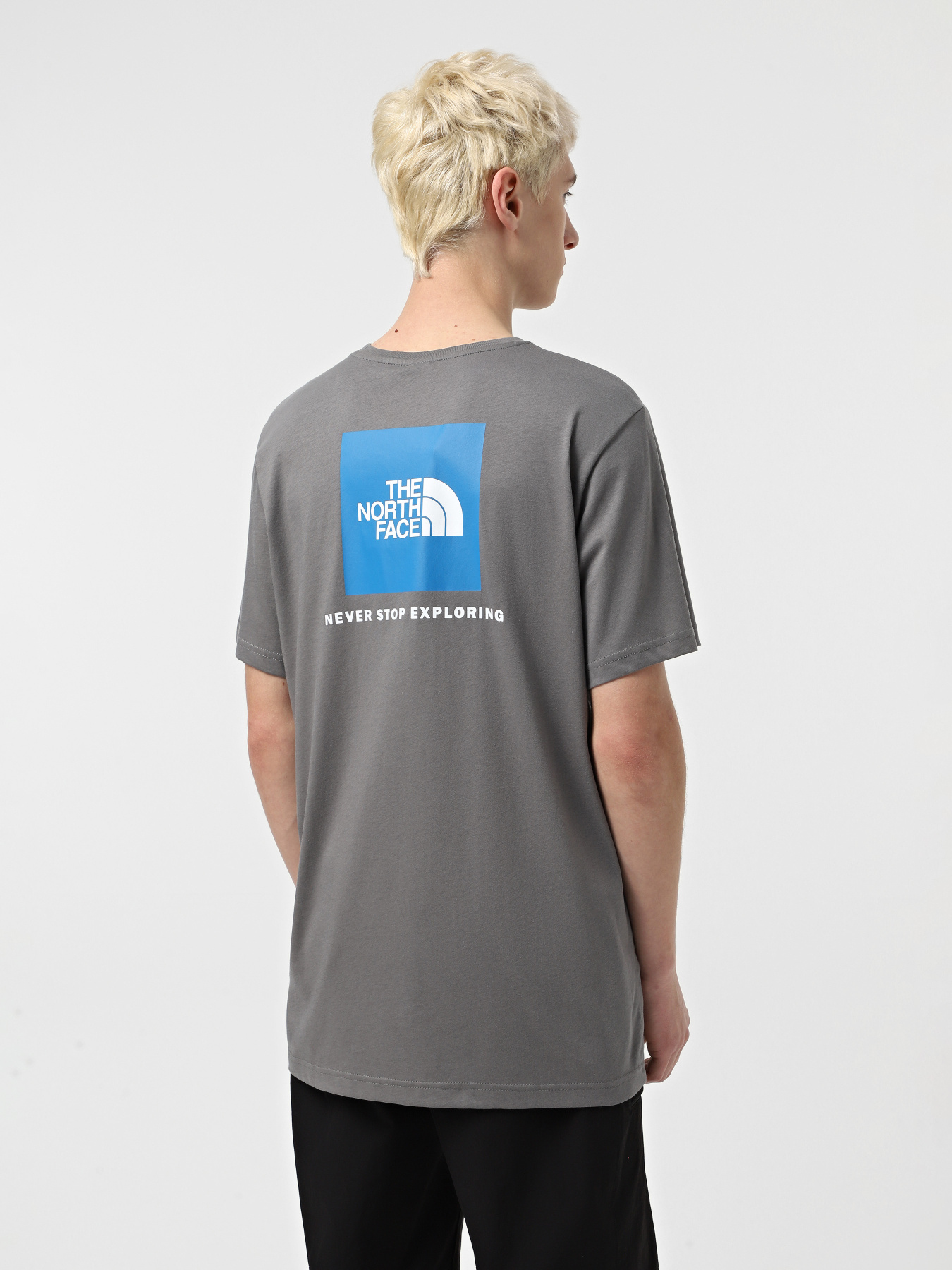 Футболка The North Face Red Box модель NF0A87NPARX1 Фото