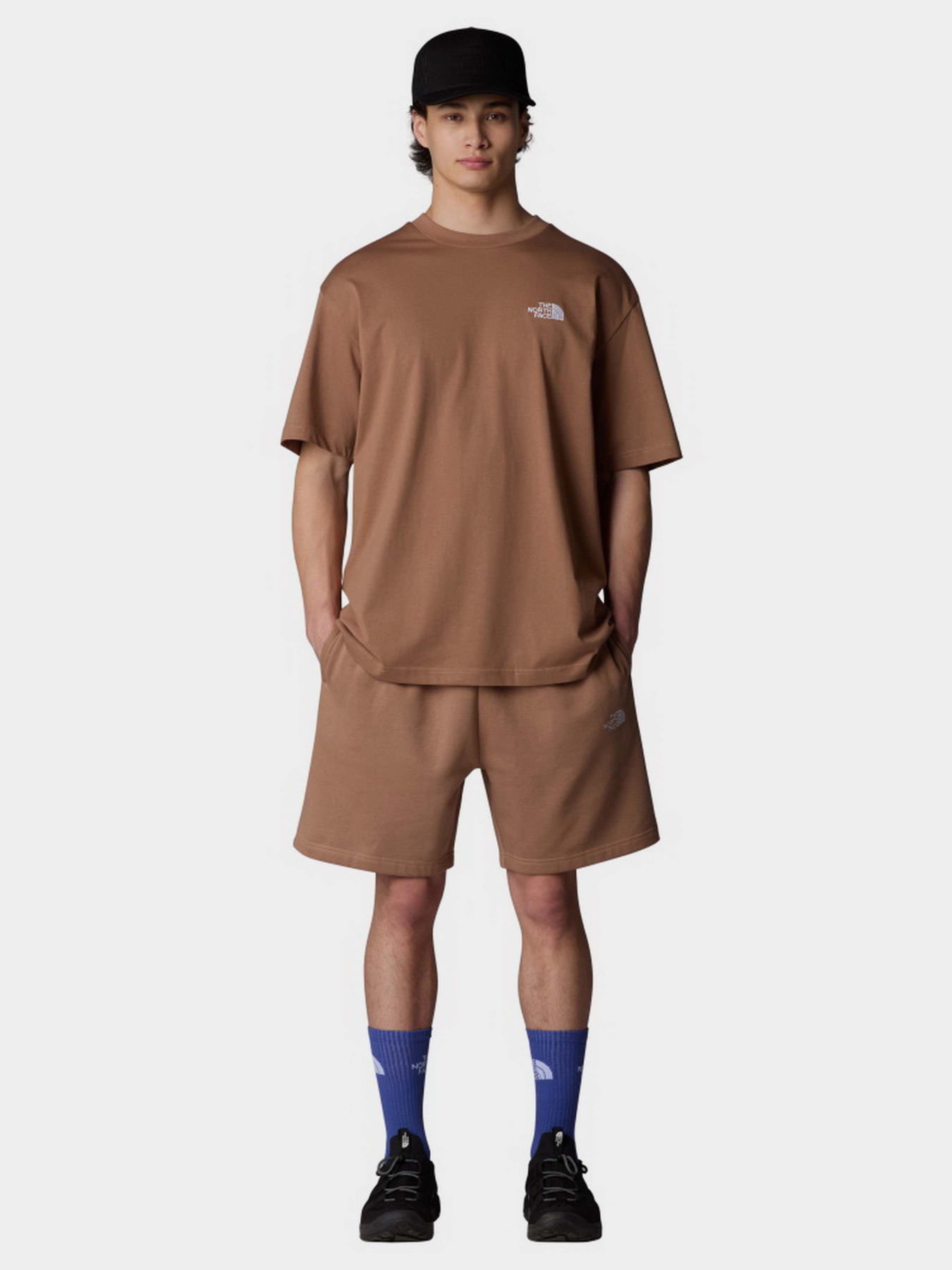 Футболка The North Face Oversized Simple Dome модель NF0A87NR6IH1 Фото