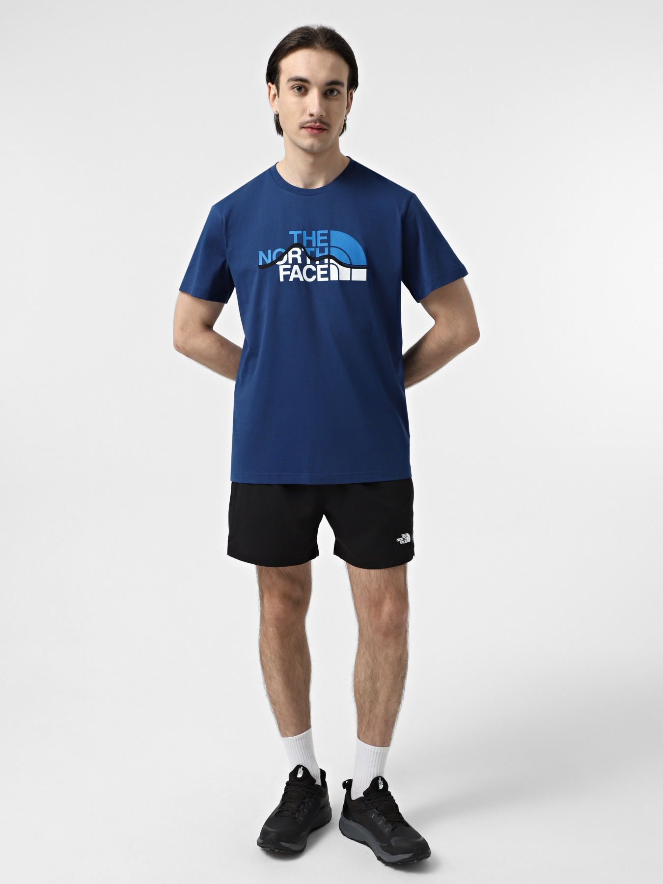 Футболка The North Face Mountain Line модель NF0A87NTD1R1 Фото