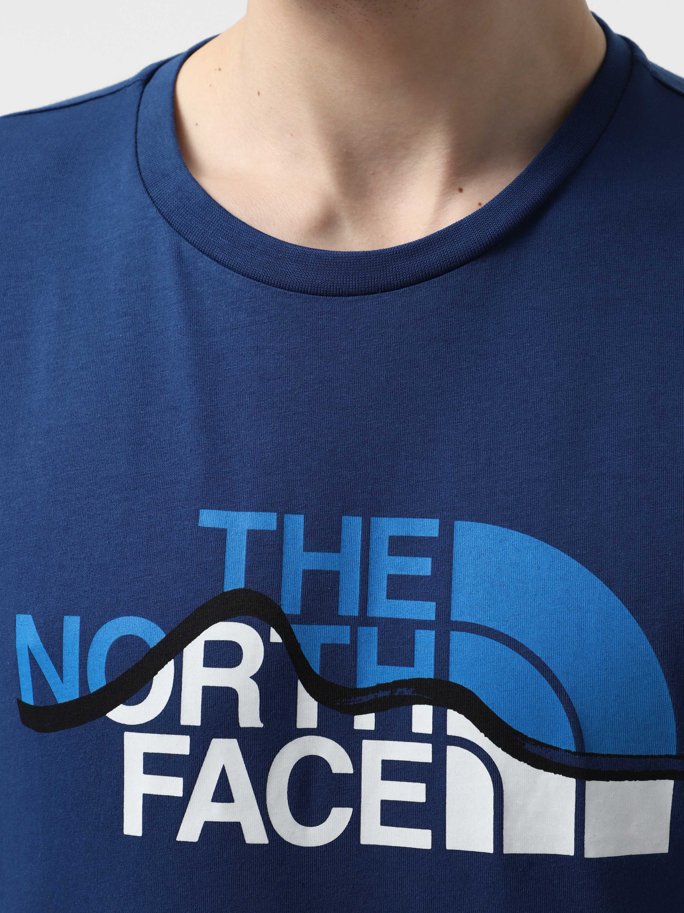 Футболка The North Face Mountain Line модель NF0A87NTD1R1 Фото