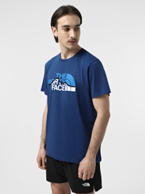 Футболка The North Face Mountain Line модель NF0A87NTD1R1 Фото