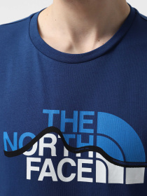 Футболка The North Face Mountain Line модель NF0A87NTD1R1 Фото