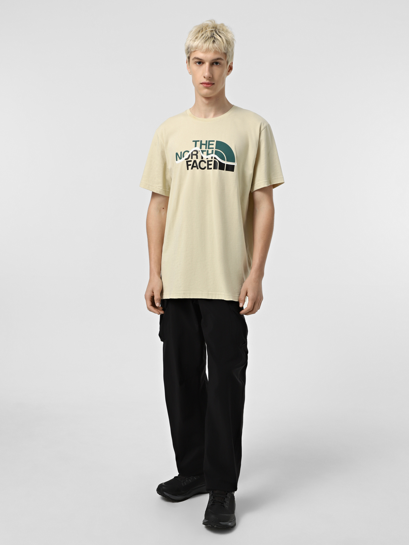 Футболка The North Face Mountain Line модель NF0A87NT3X41 Фото