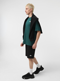 Футболка The North Face North Faces модель NF0A87NU6GI1 Фото