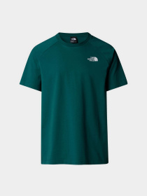 Футболка The North Face North Faces модель NF0A87NU6GI1 Фото