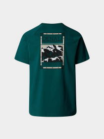 Футболка The North Face North Faces модель NF0A87NU6GI1 Фото