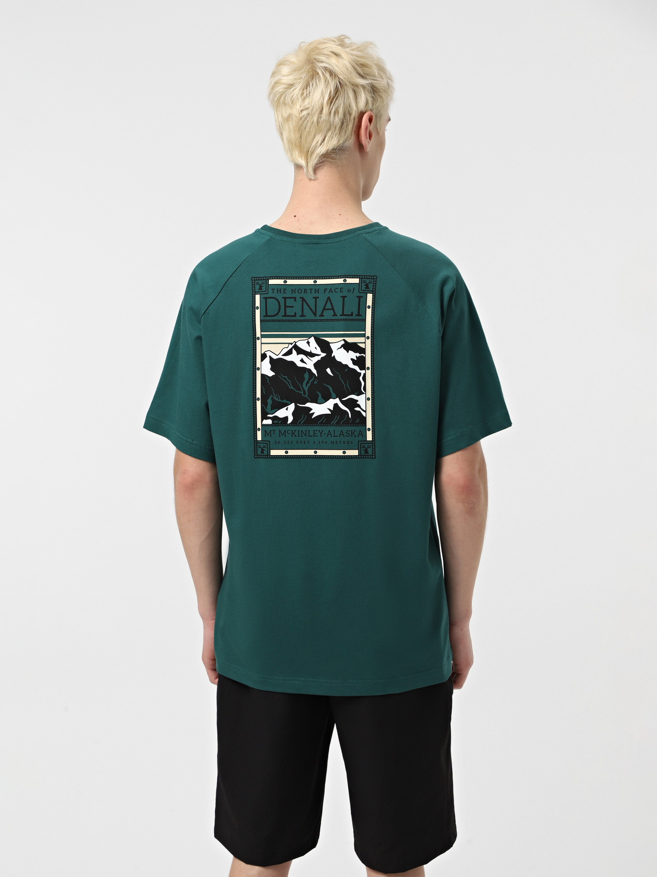 Футболка The North Face North Faces модель NF0A87NU6GI1 Футболка The North Face North Faces модель NF0A87NU6GI1 Фото