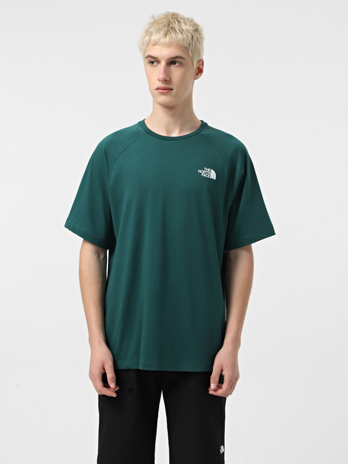 Футболка The North Face North Faces модель NF0A87NU6GI1 Футболка The North Face North Faces модель NF0A87NU6GI1 Фото