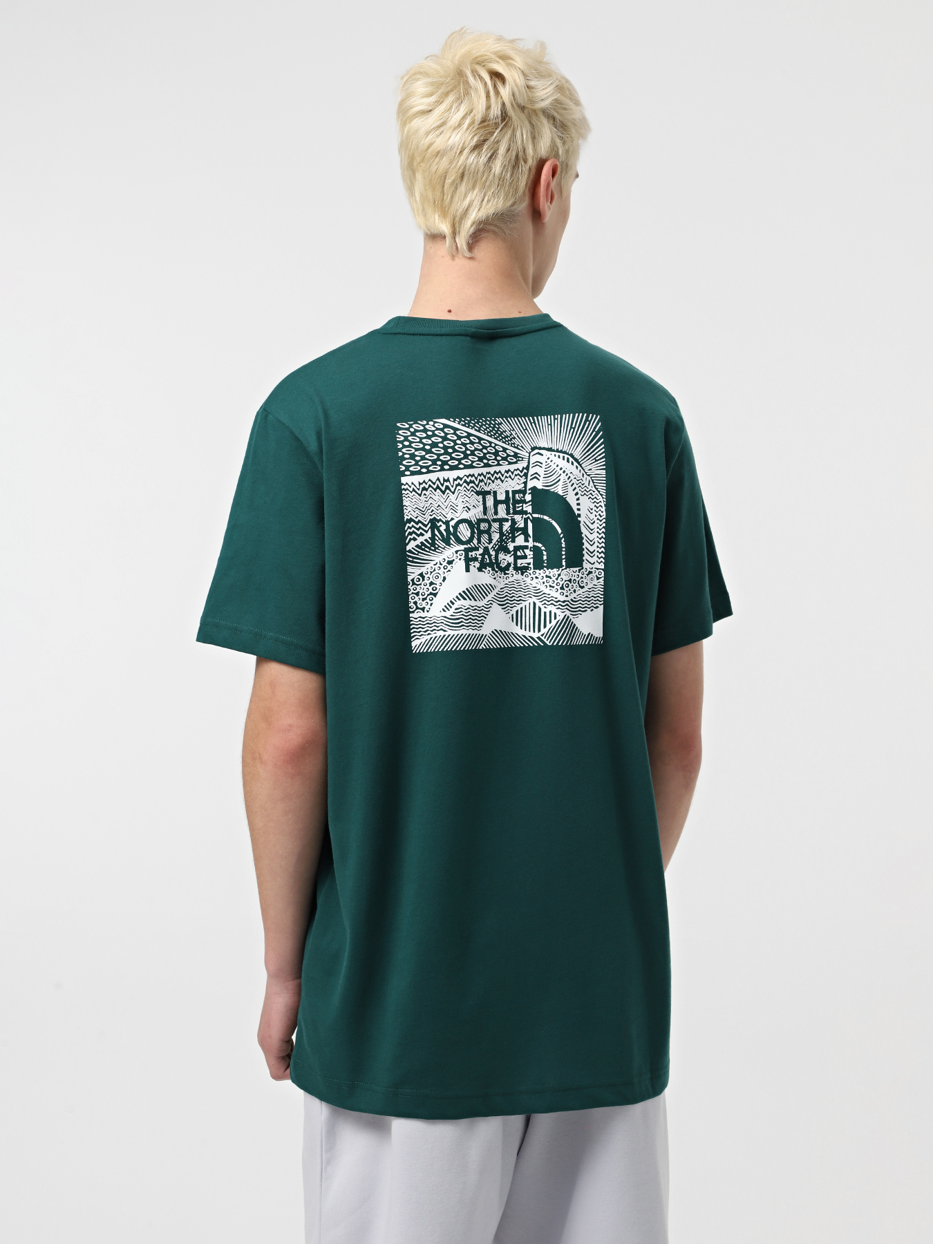 Футболка The North Face Redbox Celebration модель NF0A87NV6GI1 Фото