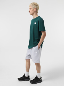 Футболка The North Face Redbox Celebration модель NF0A87NV6GI1 Фото