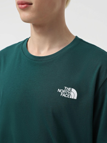 Футболка The North Face Redbox Celebration модель NF0A87NV6GI1 Фото