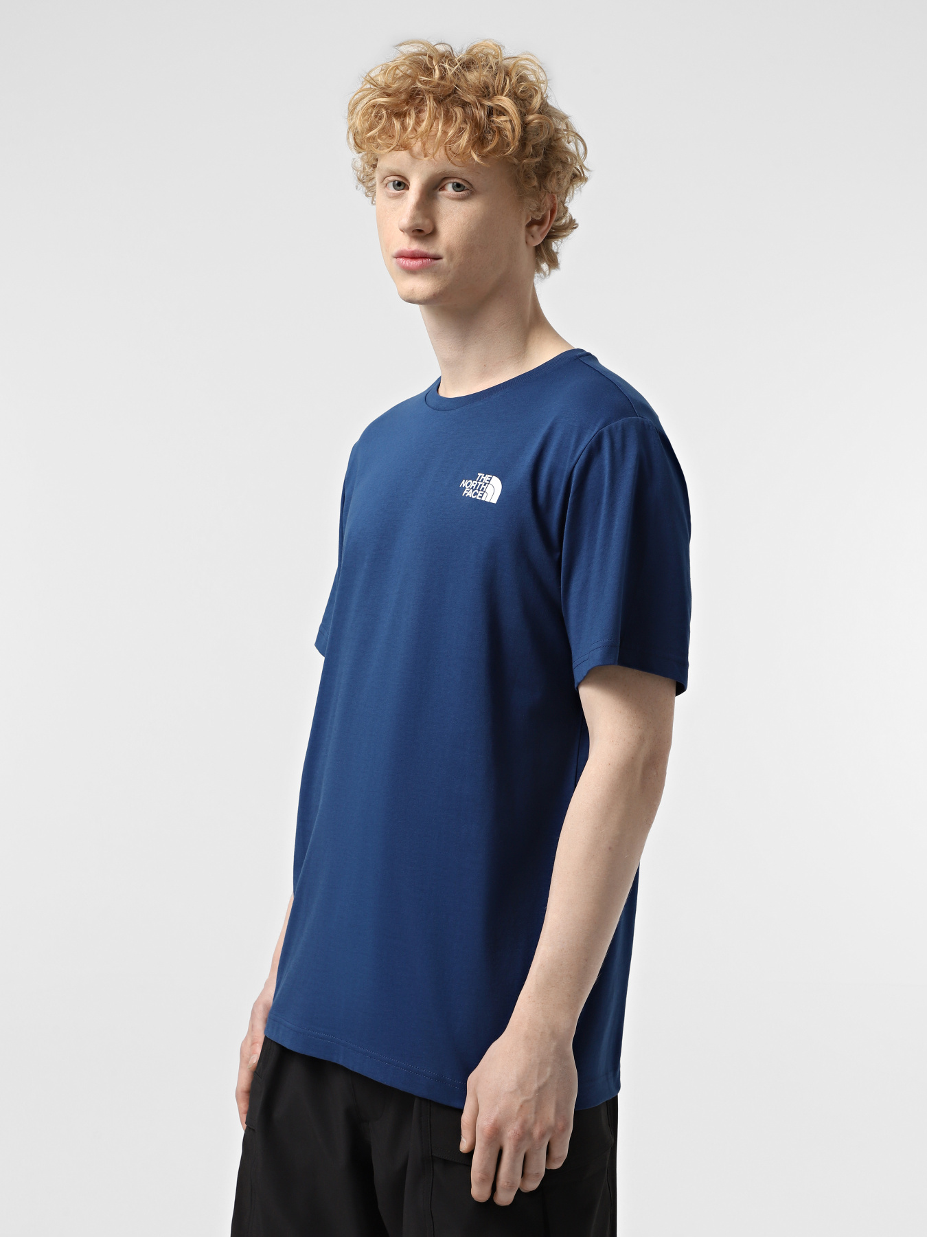 Футболка The North Face Redbox Celebration модель NF0A87NVD1R1 Фото