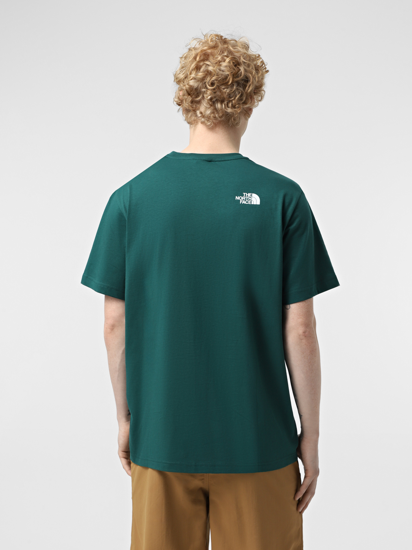 Футболка The North Face Biner Graphic 1 модель NF0A894X6GI1 Фото