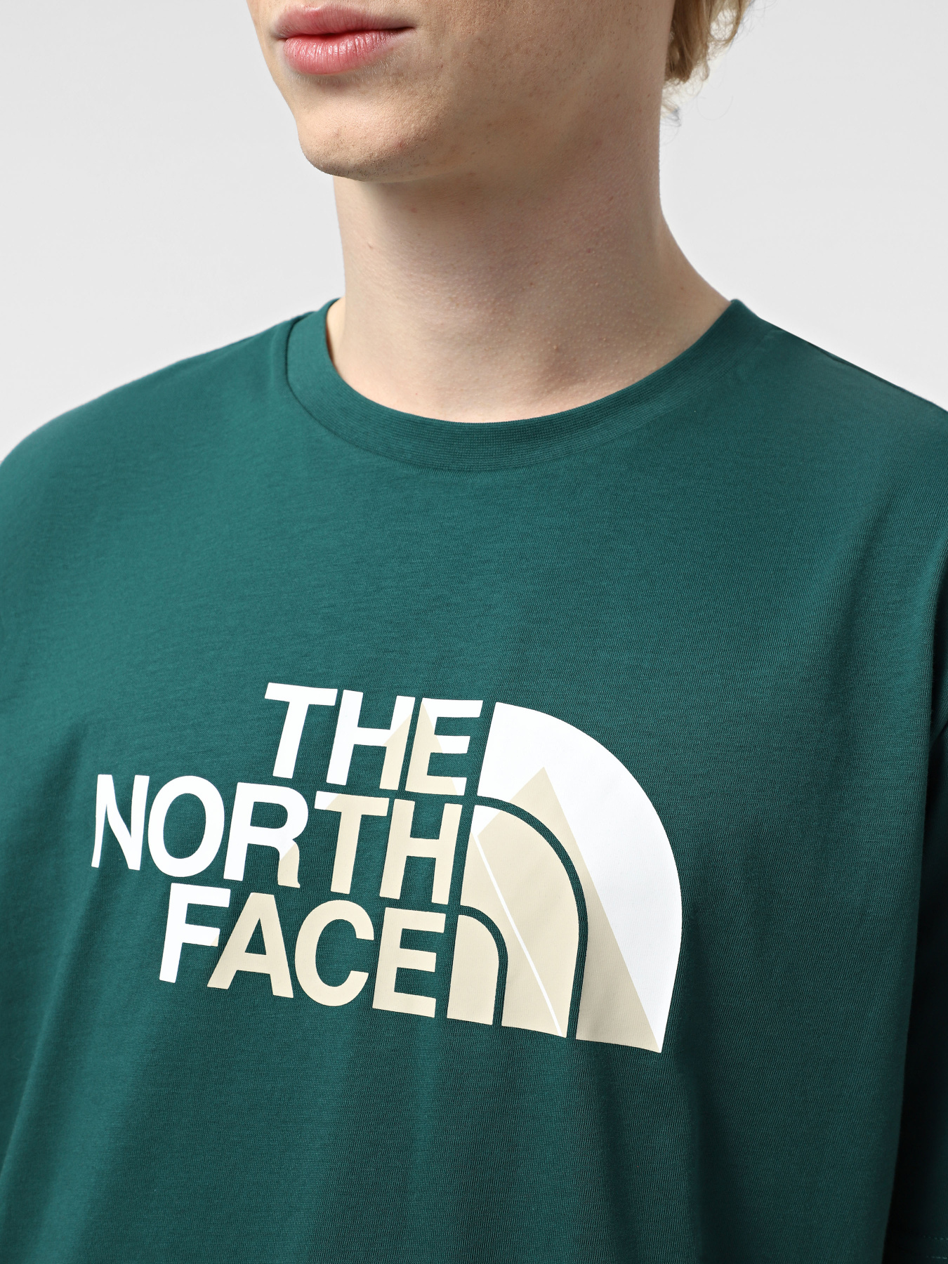 Футболка The North Face Biner Graphic 1 модель NF0A894X6GI1 Фото