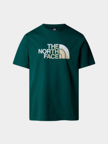 Футболка The North Face Biner Graphic 1 модель NF0A894X6GI1 Фото