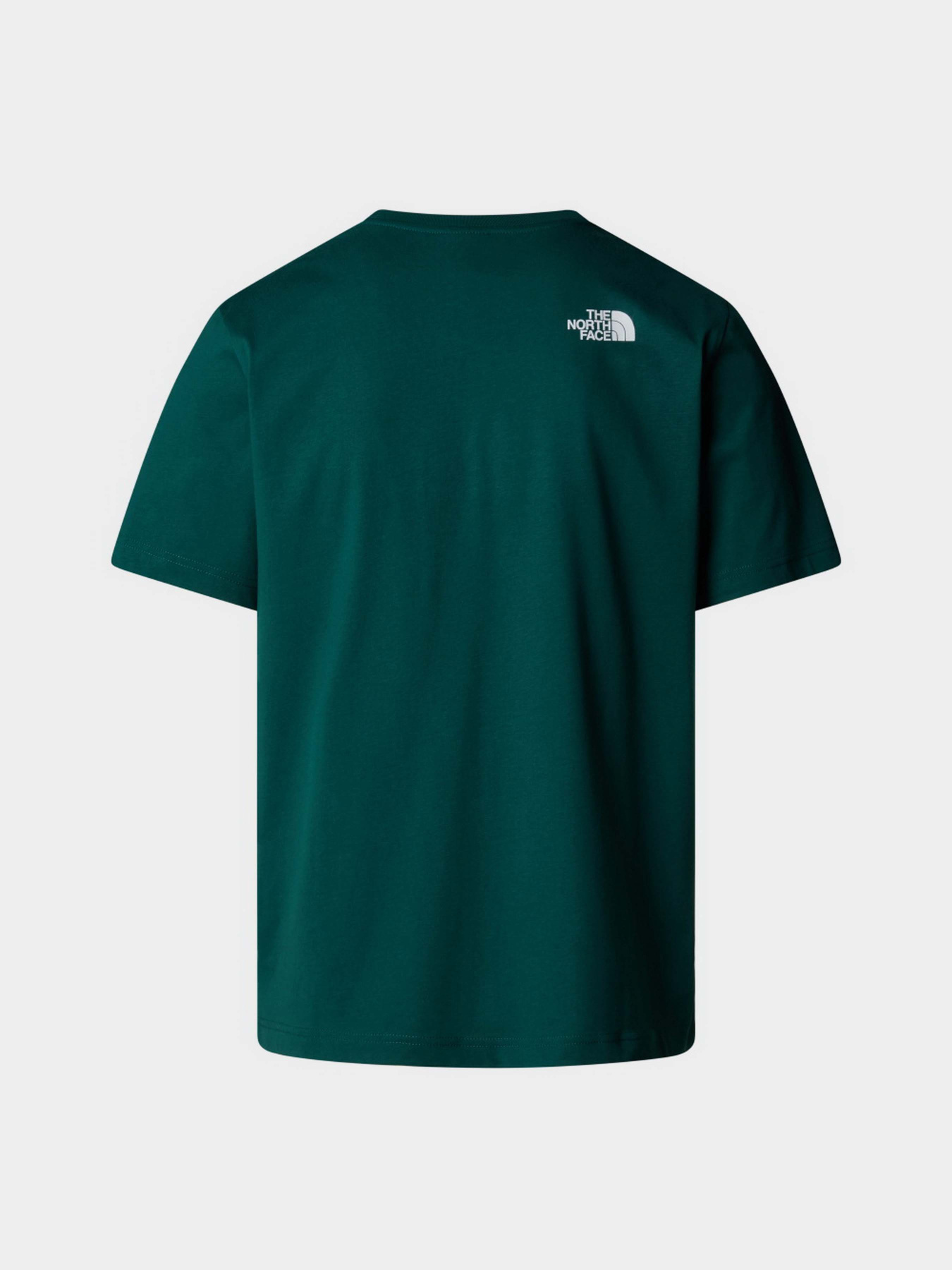 Футболка The North Face Biner Graphic 1 модель NF0A894X6GI1 Футболка The North Face Biner Graphic 1 модель NF0A894X6GI1 Фото