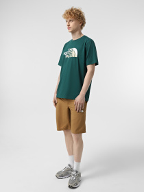 Футболка The North Face Biner Graphic 1 модель NF0A894X6GI1 Футболка The North Face Biner Graphic 1 модель NF0A894X6GI1 Фото