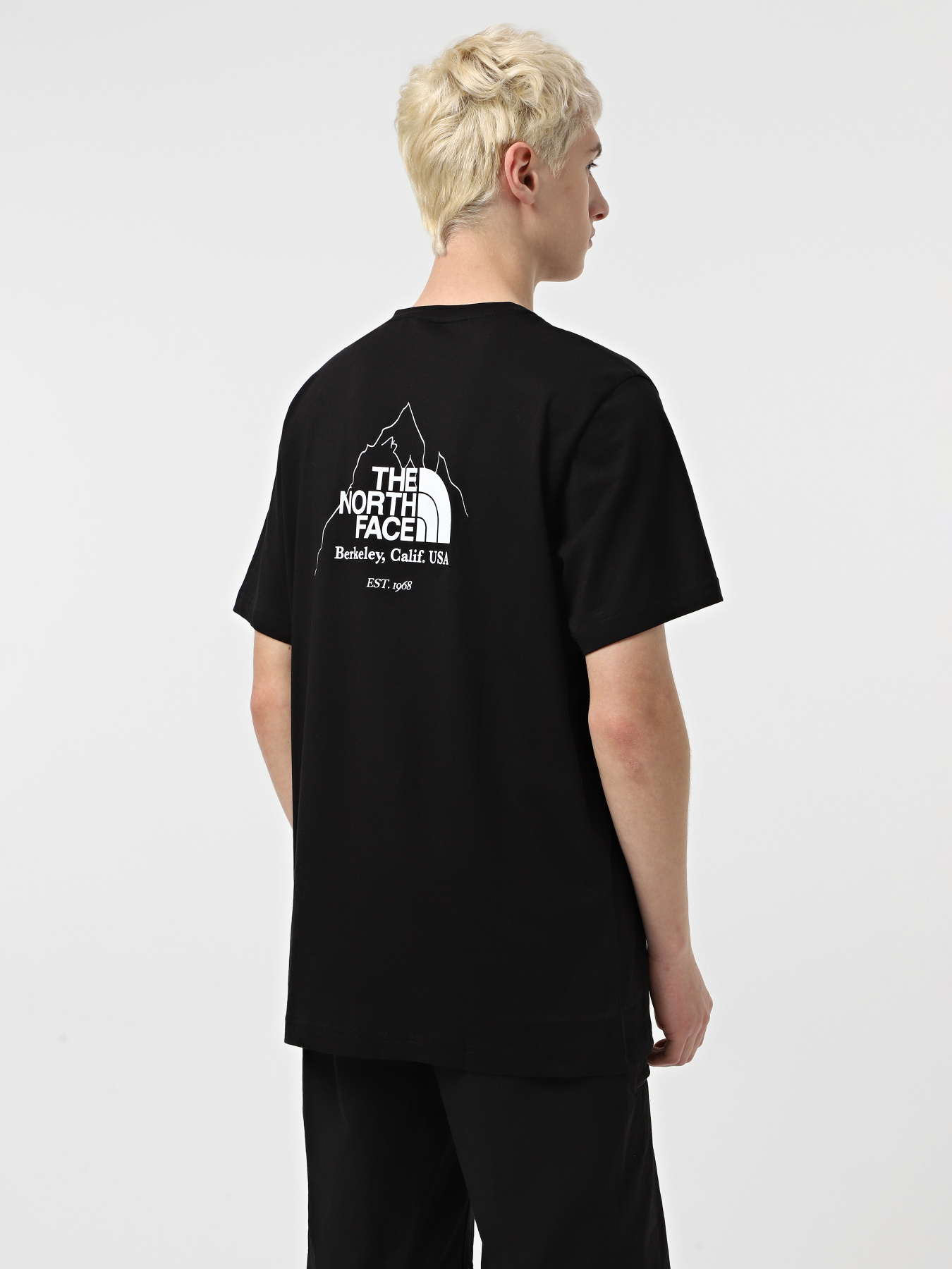 Футболка The North Face Biner Graphic 4 модель NF0A894ZJK31 Фото