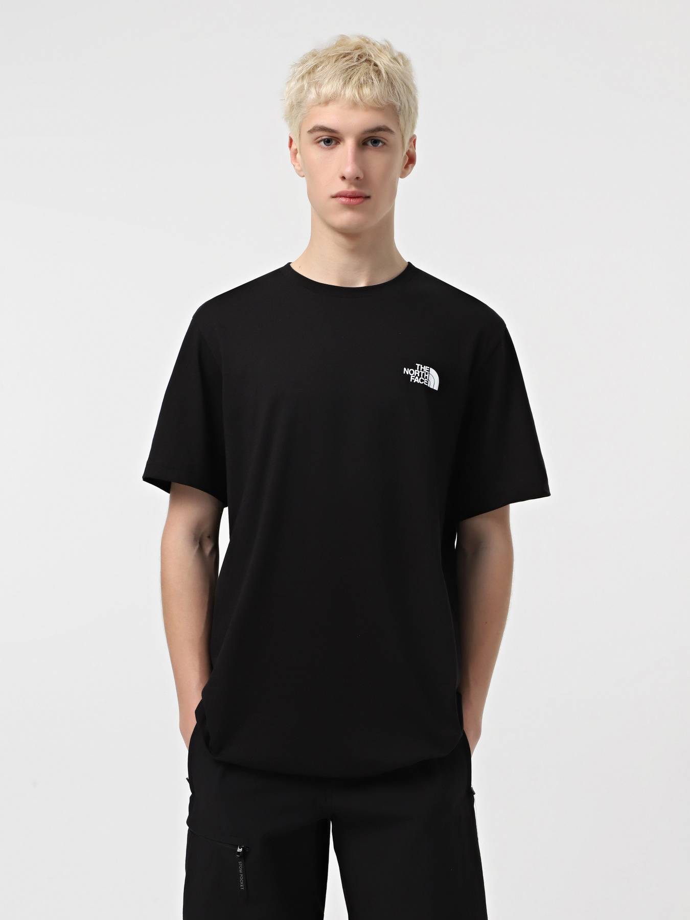 Футболка The North Face Biner Graphic 4 модель NF0A894ZJK31 Фото