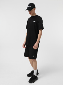 Футболка The North Face Biner Graphic 4 модель NF0A894ZJK31 Фото