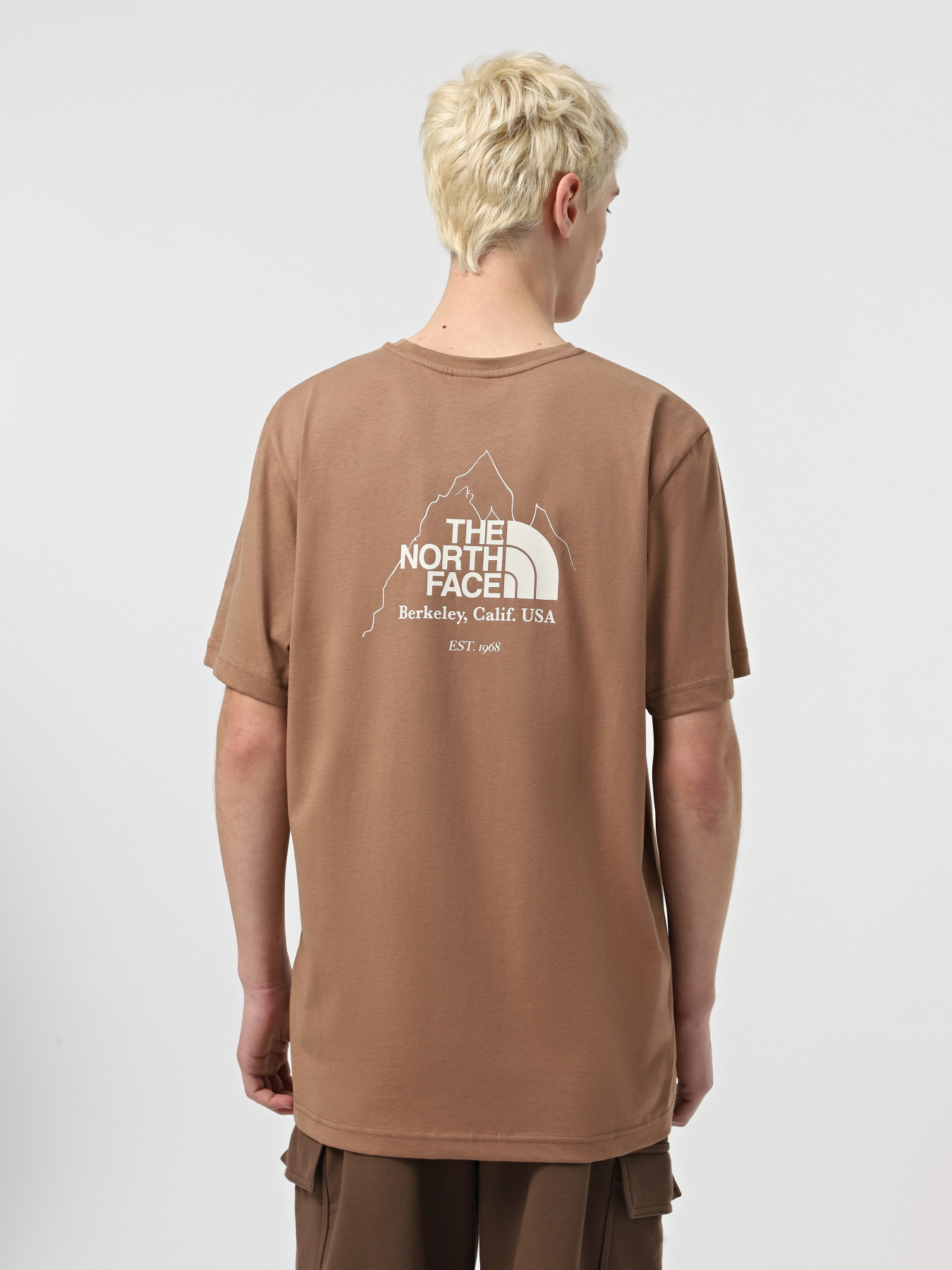 Футболка The North Face Biner Graphic 4 модель NF0A894Z6IH1 Фото