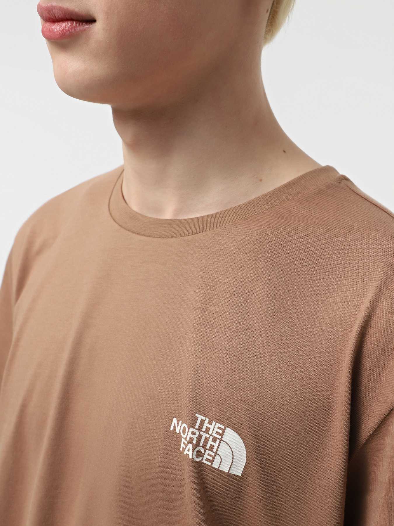 Футболка The North Face Biner Graphic 4 модель NF0A894Z6IH1 Фото