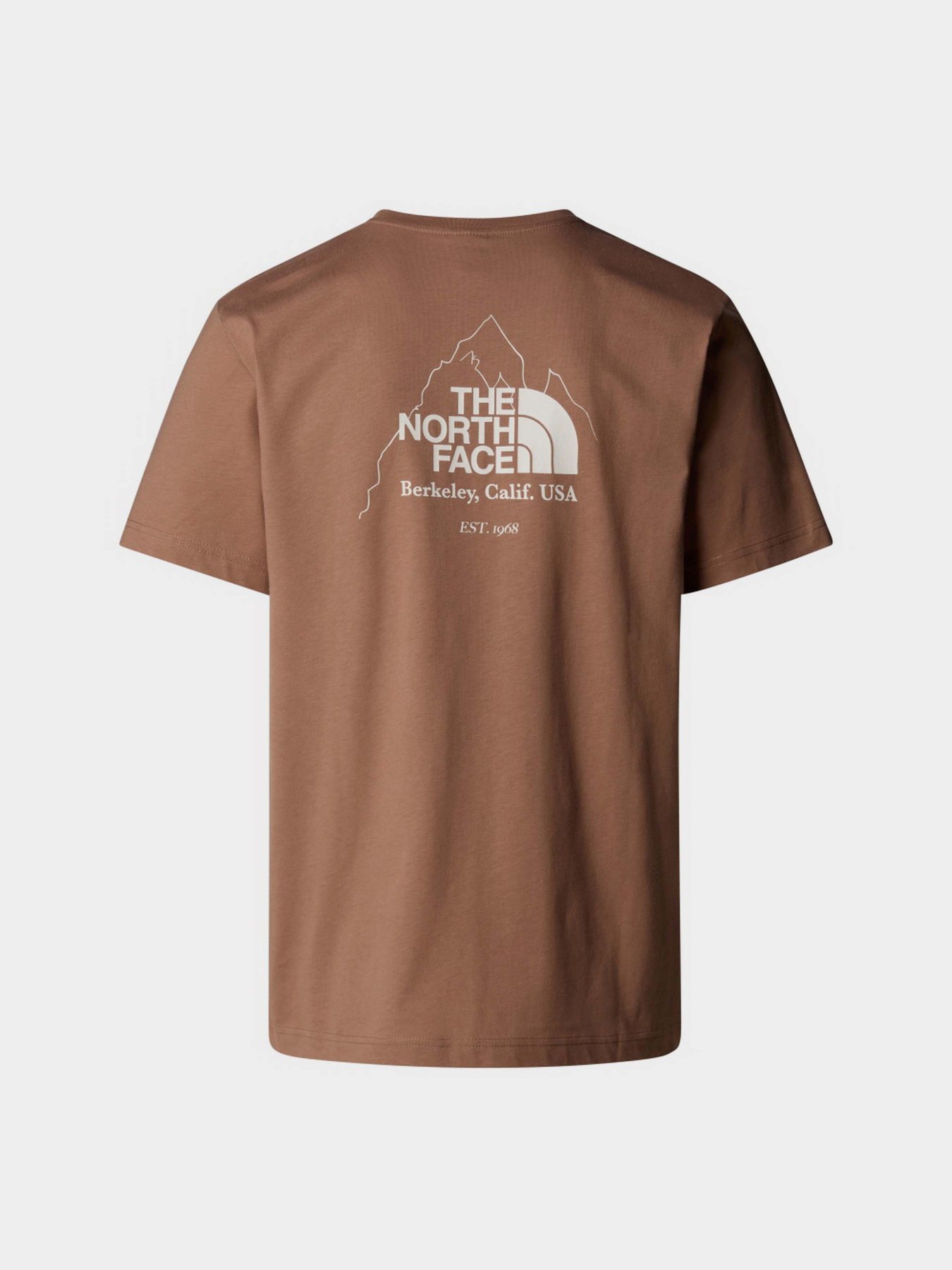 Футболка The North Face Biner Graphic 4 модель NF0A894Z6IH1 Футболка The North Face Biner Graphic 4 модель NF0A894Z6IH1 Фото