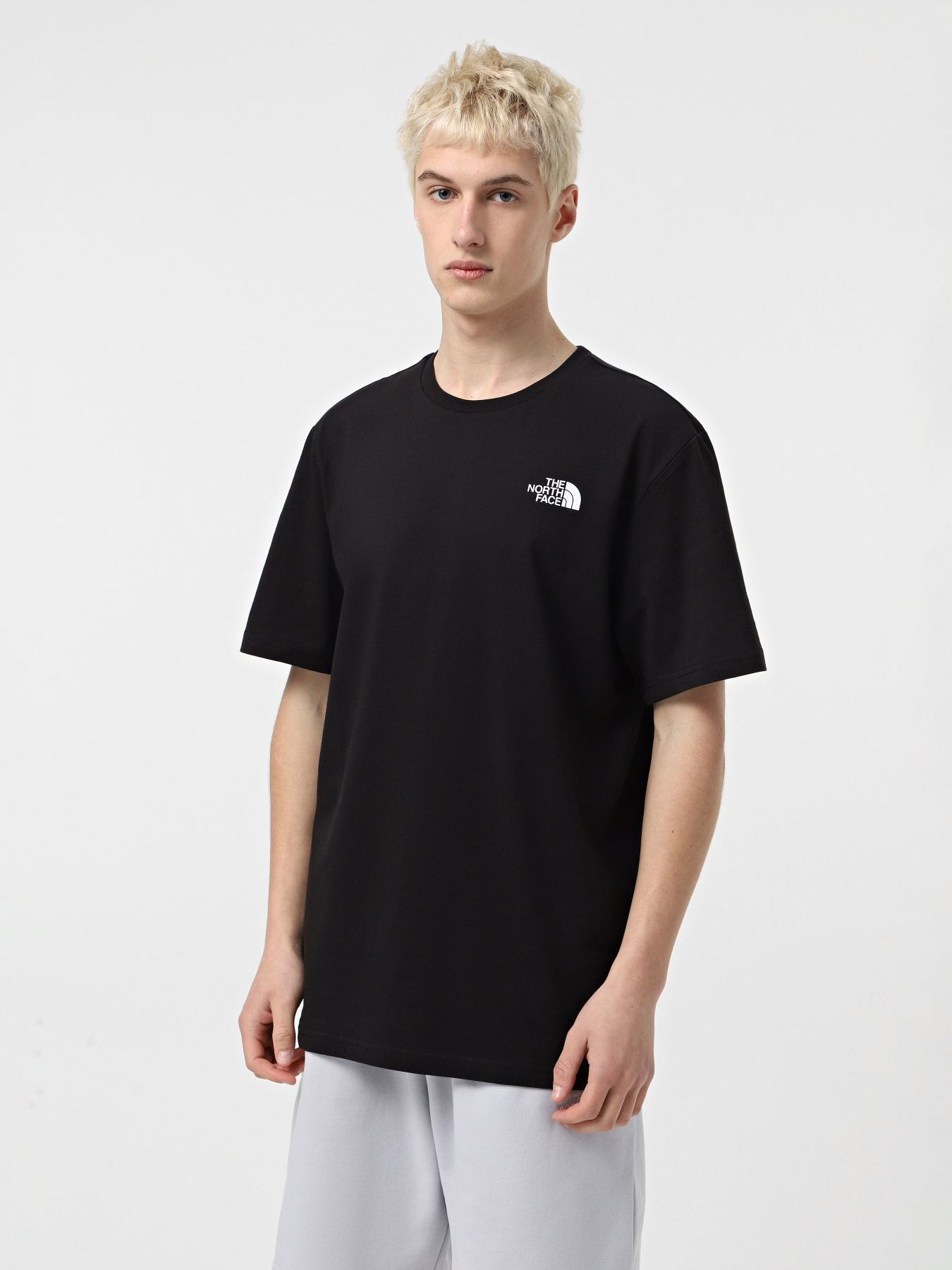 Футболка The North Face Vertical модель NF0A89FPJK31 Фото