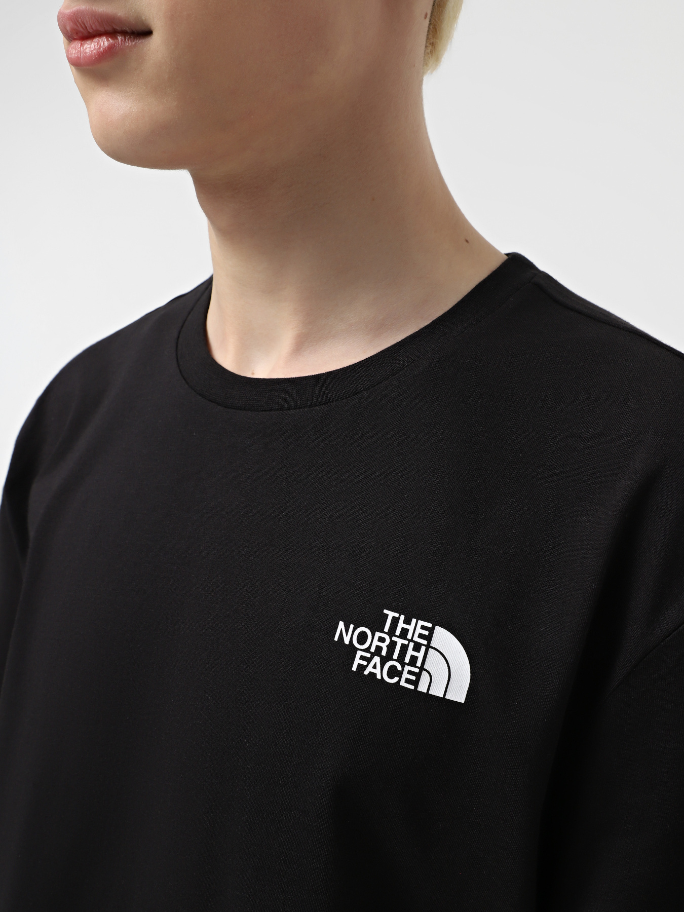 Футболка The North Face Vertical модель NF0A89FPJK31 Фото