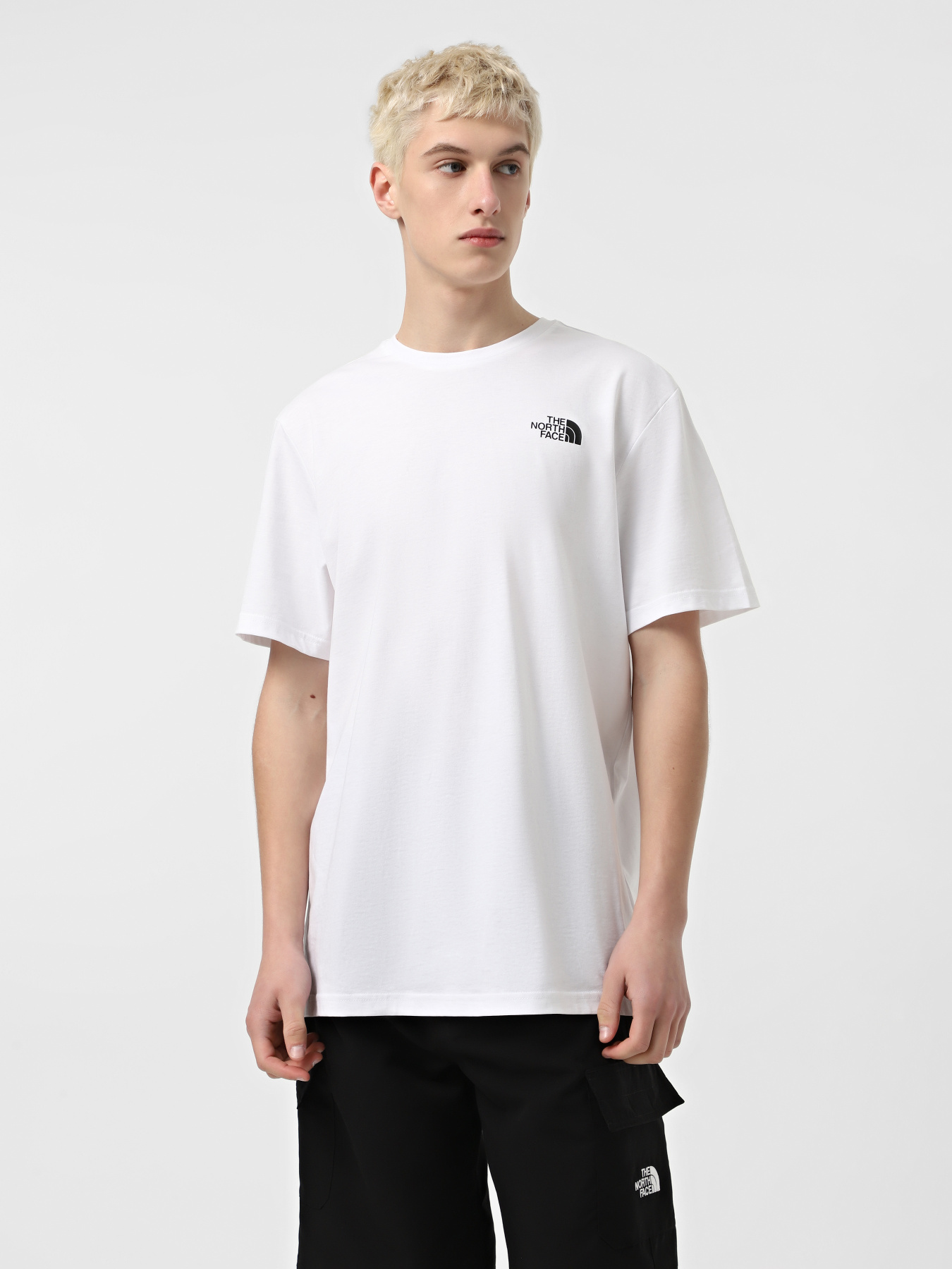 Футболка The North Face Vertical модель NF0A89FPFN41 Фото