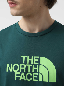 Футболка The North Face Easy модель NF0A8A6CA6O1 Фото
