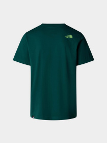 Футболка The North Face Easy модель NF0A8A6CA6O1 Фото