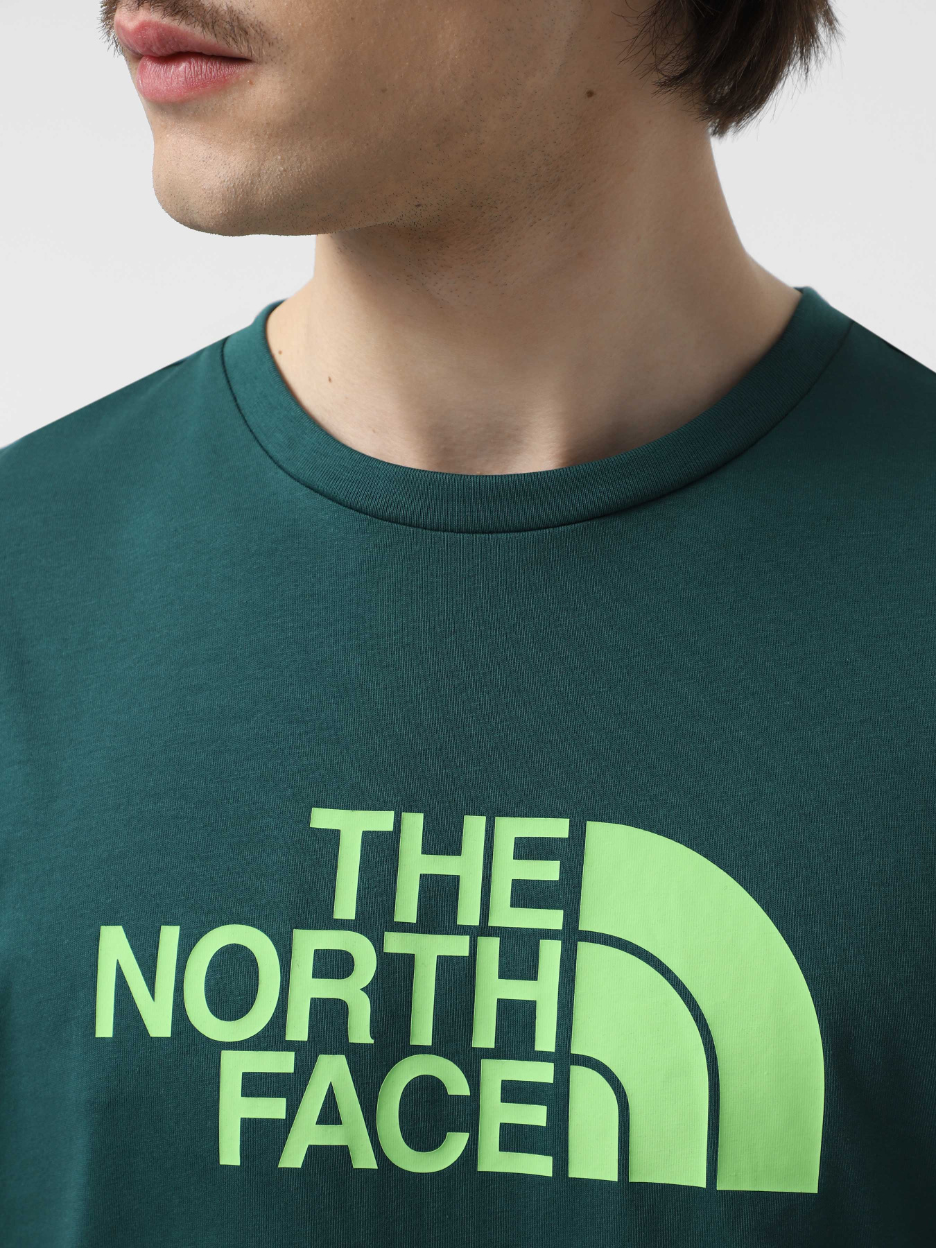 Футболка The North Face Easy модель NF0A8A6CA6O1 Фото