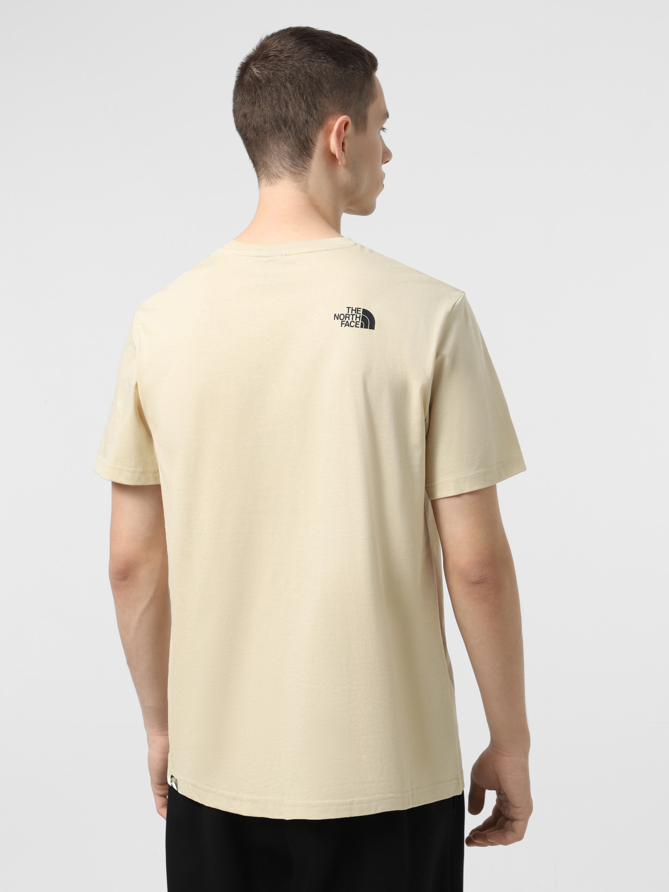 Футболка The North Face Fine модель NF0A8A6M3X41 Фото
