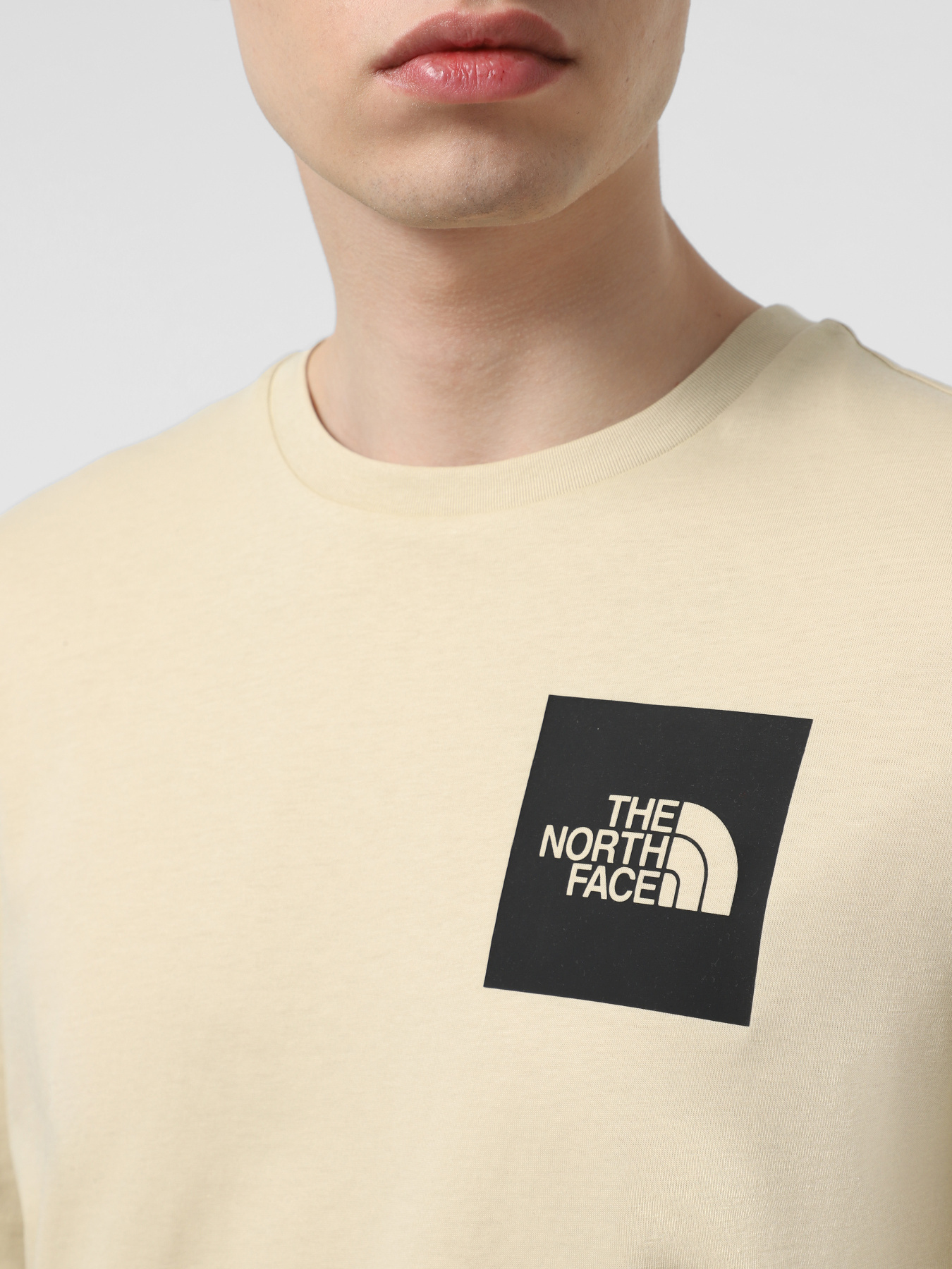 Футболка The North Face Fine модель NF0A8A6M3X41 Фото