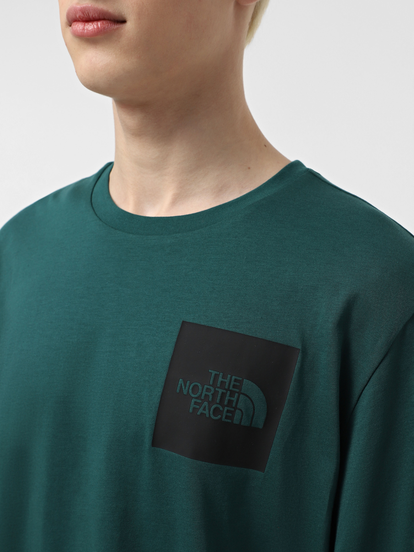 Футболка The North Face Fine модель NF0A8A6M6GI1 Фото