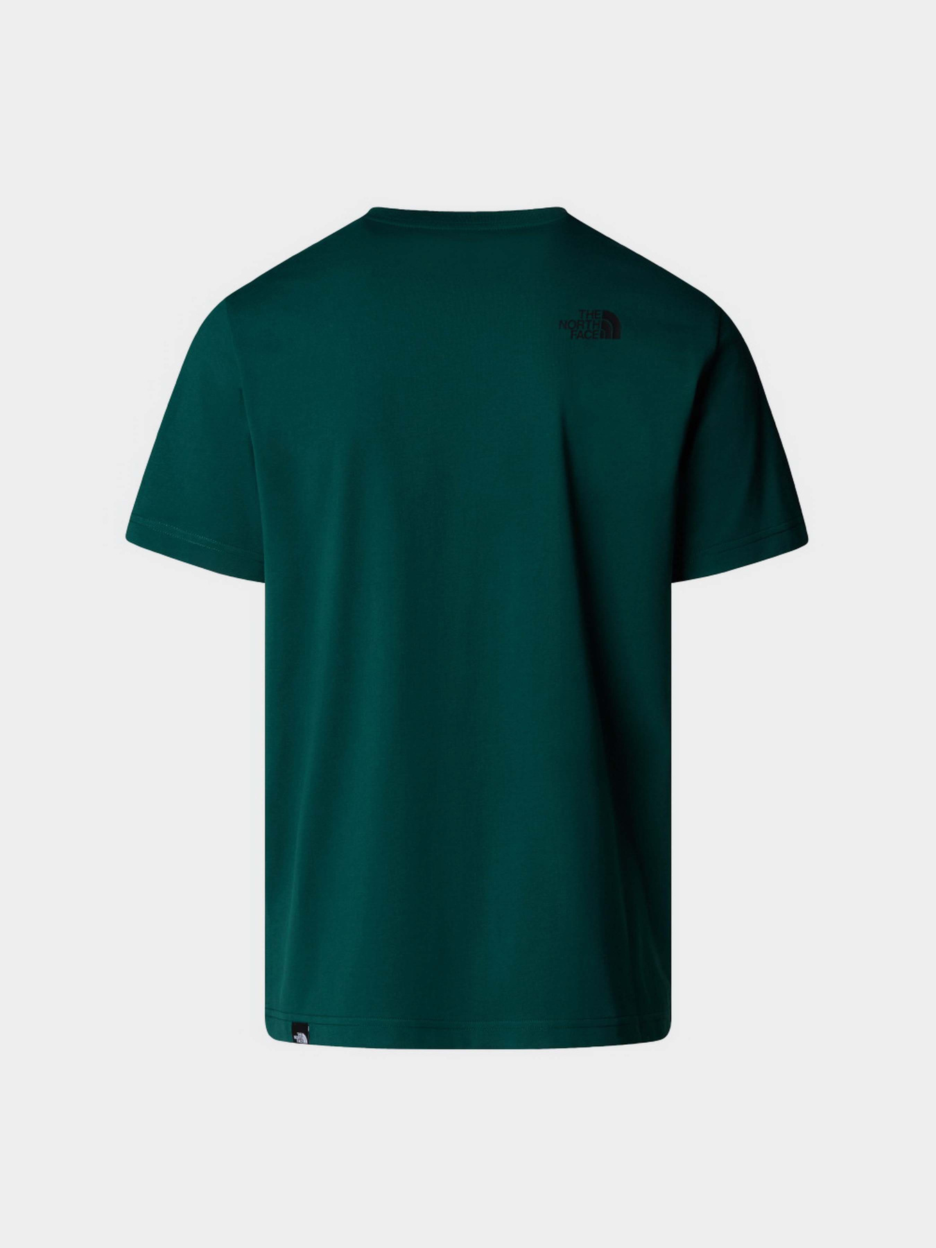 Футболка The North Face Fine модель NF0A8A6M6GI1 Фото