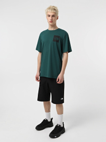 Футболка The North Face Fine модель NF0A8A6M6GI1 Фото