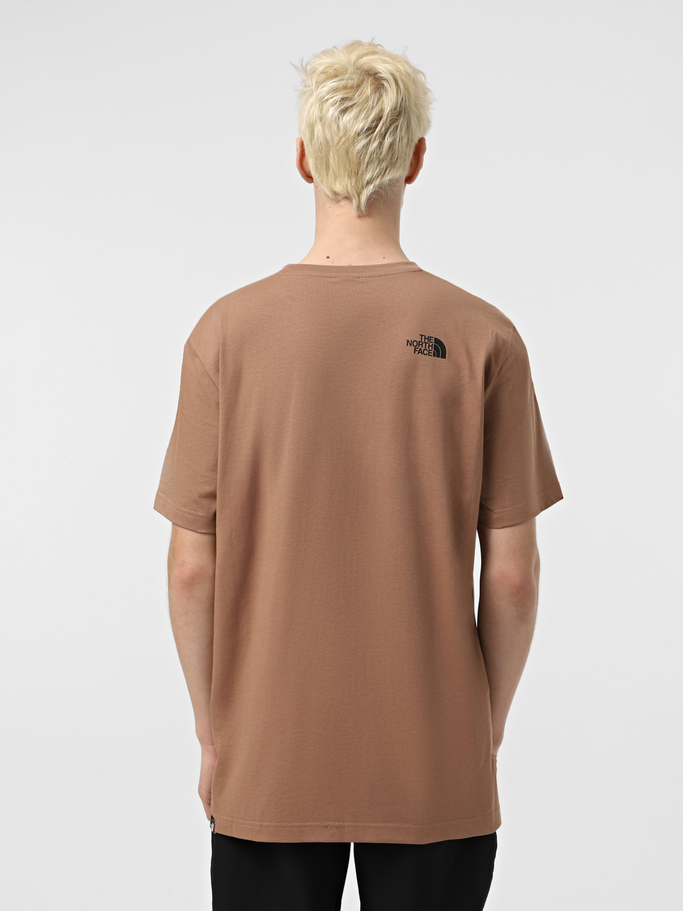 Футболка The North Face Fine модель NF0A8A6M6IH1 Фото