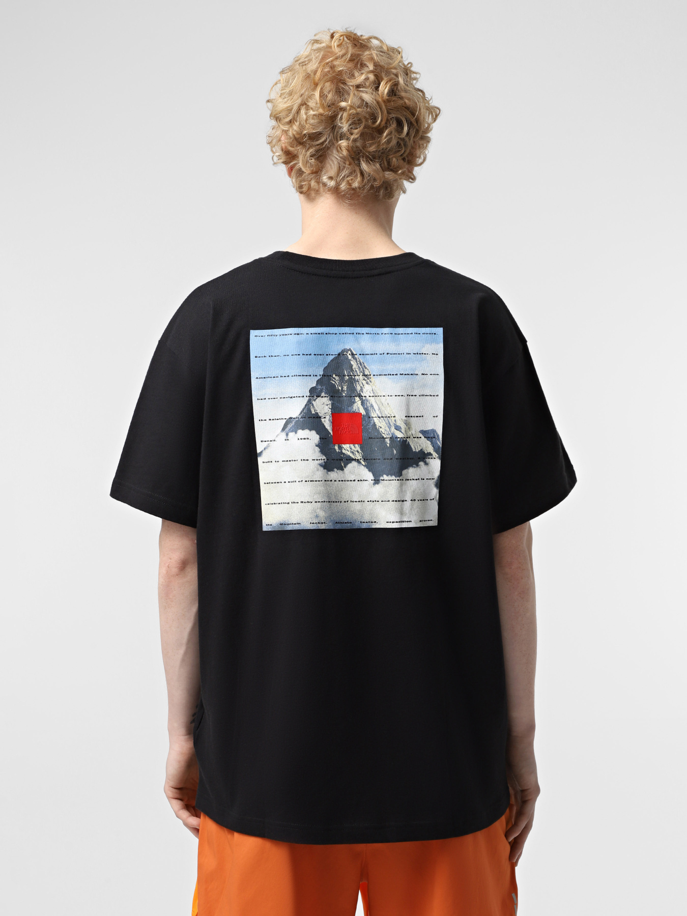 Футболка The North Face 40th Anniversary Mountain Jacket Heavyweight модель NF0A8BXYJK31 Фото