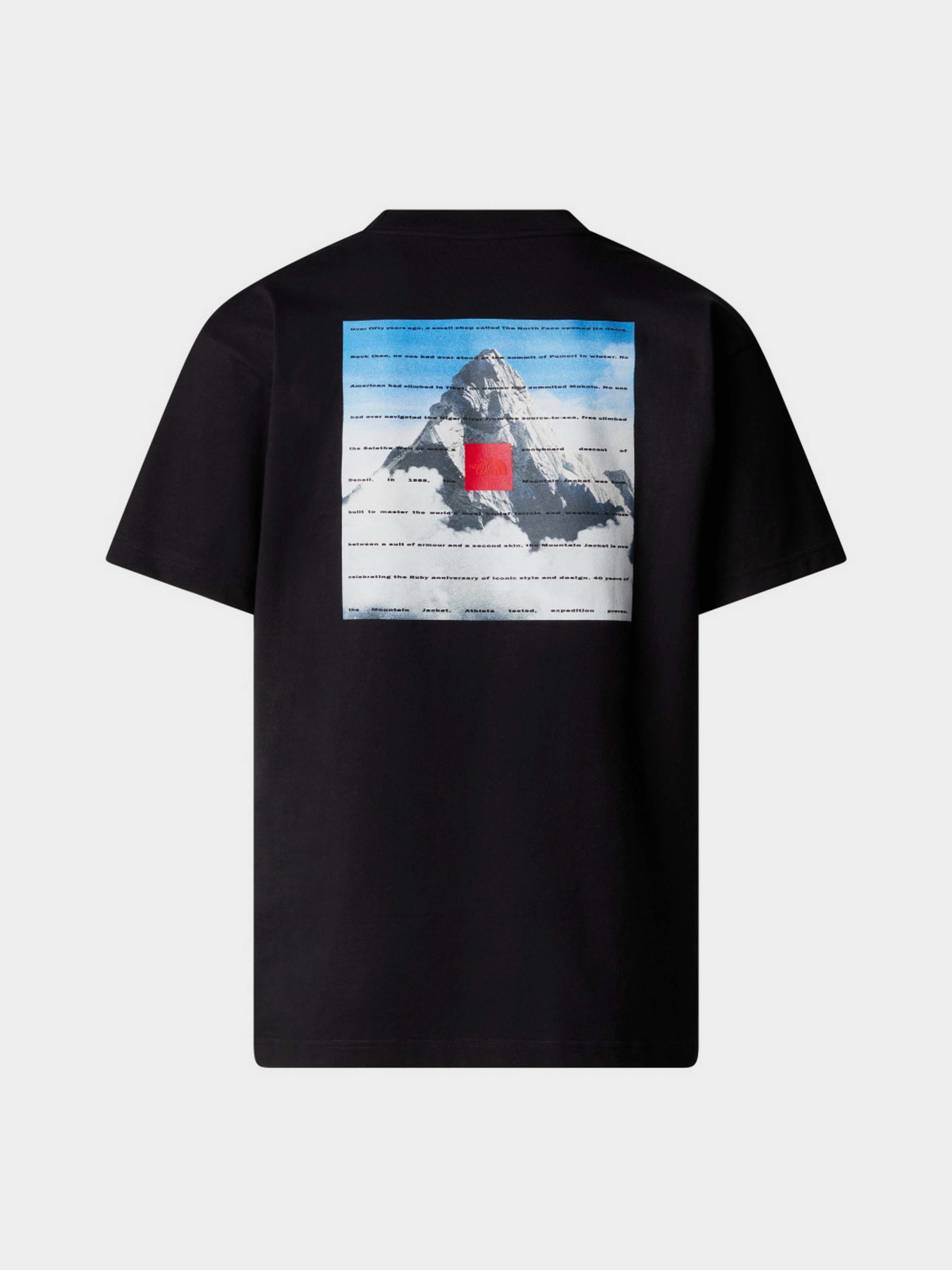Футболка The North Face 40th Anniversary Mountain Jacket Heavyweight модель NF0A8BXYJK31 Фото