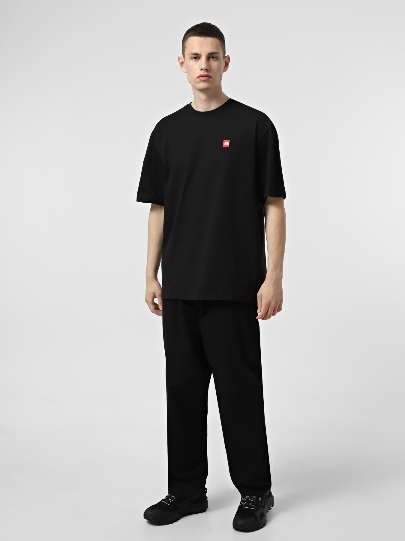 Футболка The North Face Axys модель NF0A8C1RJK31 Фото