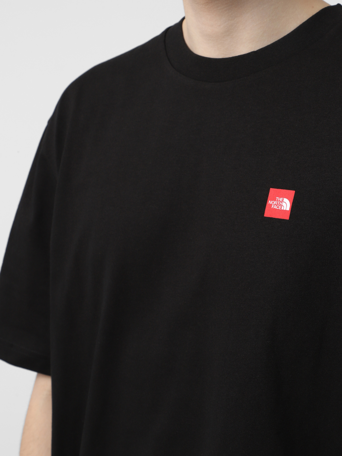 Футболка The North Face Axys модель NF0A8C1RJK31 Фото